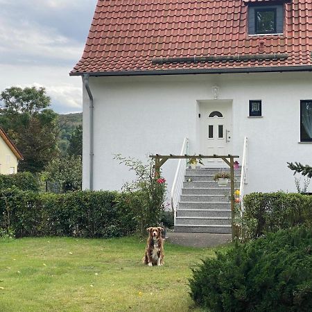 Ferienhaus Am Muehlgraben Thale Exterior foto