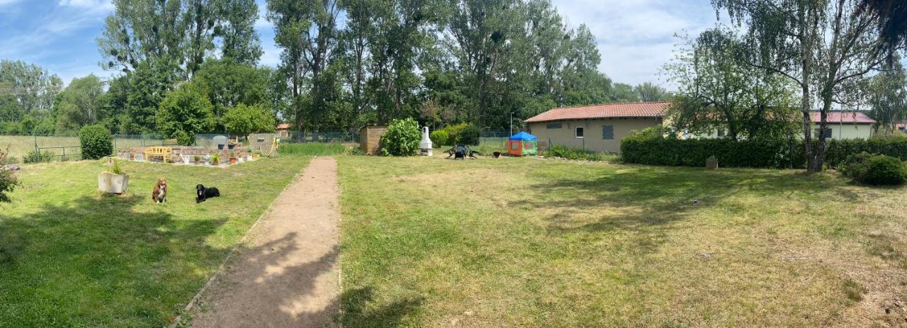 Ferienhaus Am Muehlgraben Thale Exterior foto